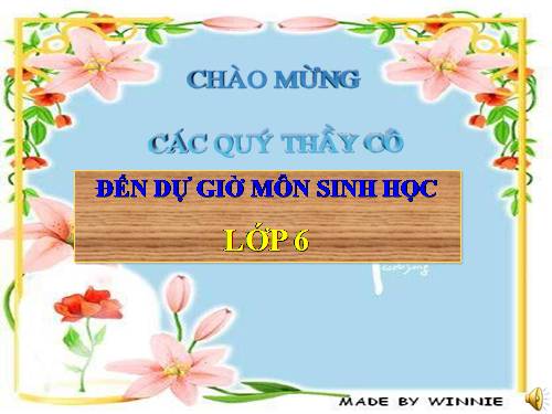 Bài 12. Biến dạng của rễ