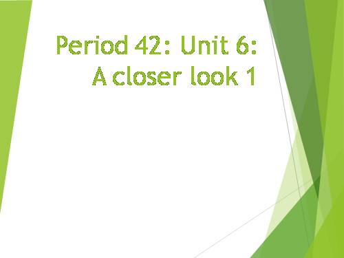 Unit 06. Our Tet holiday. Lesson 2. A closer look 1