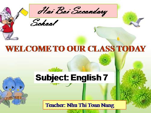 Unit 06. Our Tet holiday. Lesson 7. Looking back & project