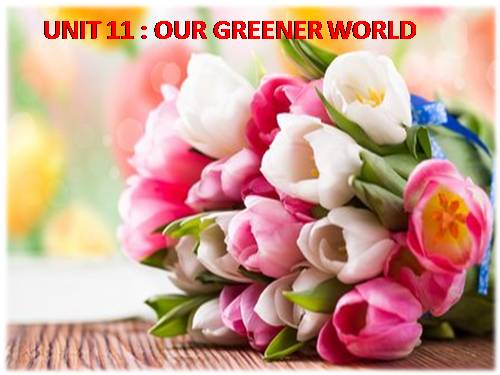 Unit 11. Our greener world. Lesson 7. Looking back & project