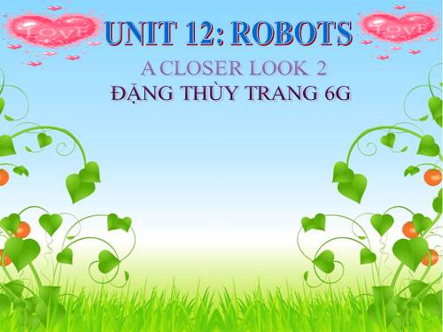 Unit 12. Robots. Lesson 3. A closer look 2