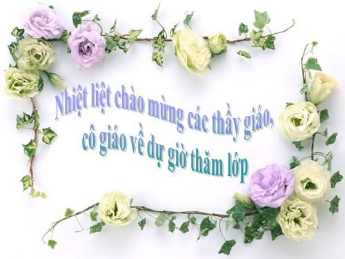 Chương III. §7. Trường hợp đồng dạng thứ ba