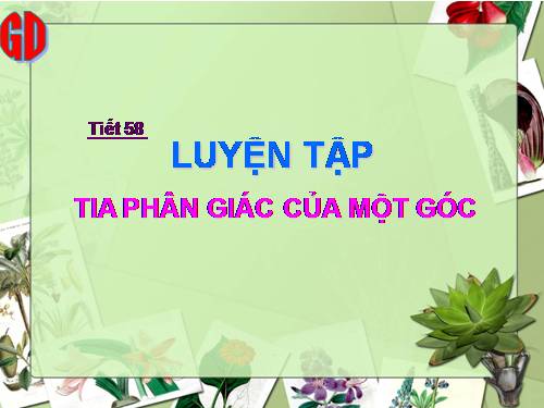 Các bài Luyện tập