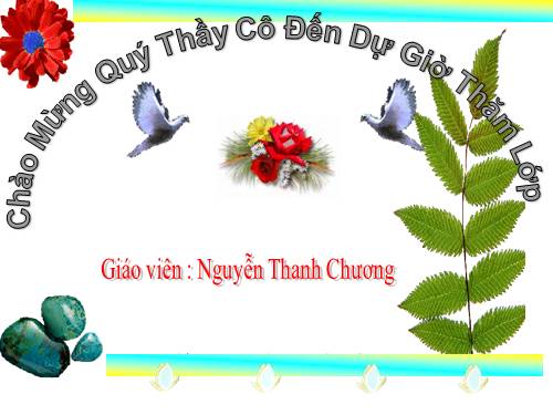 Chương I. §5. Tia