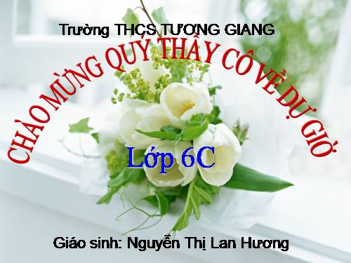 Chương II. §6. Tia phân giác của góc