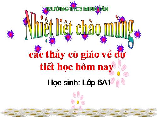 Các bài Luyện tập