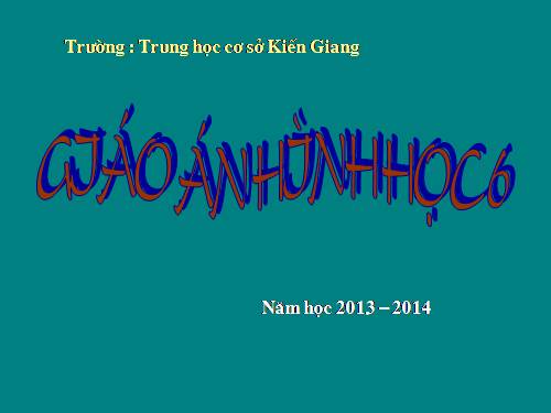 Chương II. §8. Đường tròn