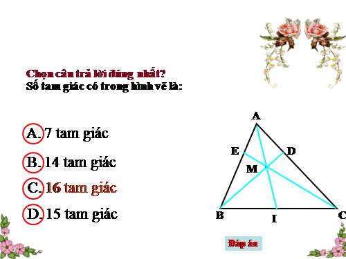 Các bài Luyện tập