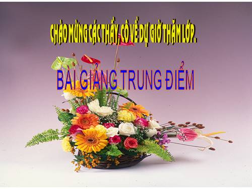 Chương I. §10. Trung điểm của đoạn thẳng