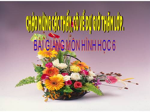 Chương I. §10. Trung điểm của đoạn thẳng