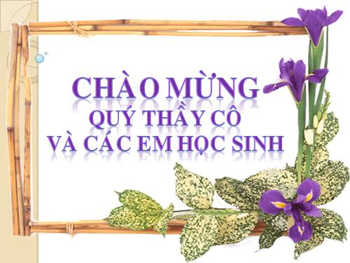 Chương I. §10. Trung điểm của đoạn thẳng