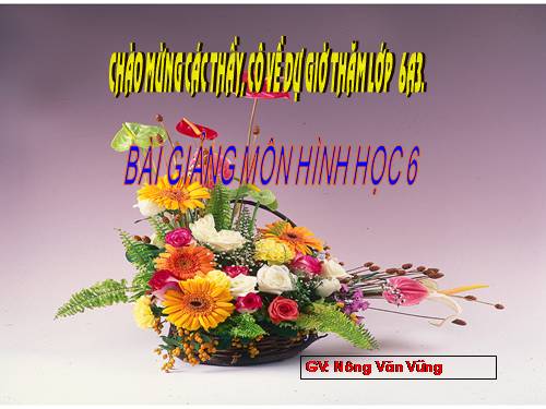 Chương I. §10. Trung điểm của đoạn thẳng