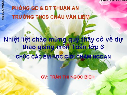 Các bài Luyện tập