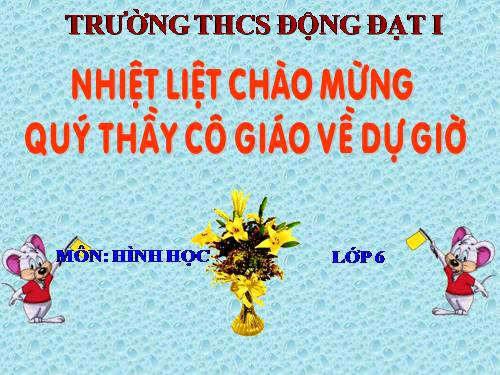 Các bài Luyện tập