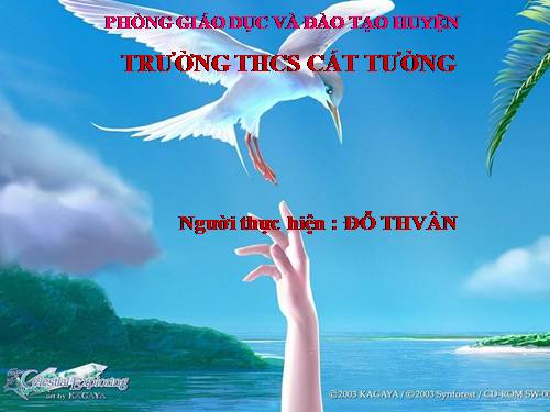 Chương II. §8. Đường tròn