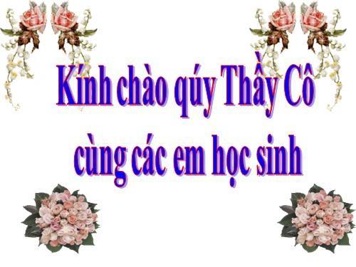 Chương II. §8. Đường tròn