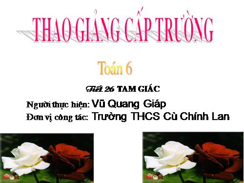 Chương II. §9. Tam giác