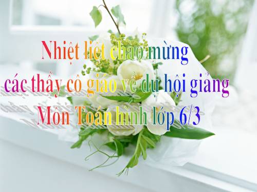 Chương I. §10. Trung điểm của đoạn thẳng