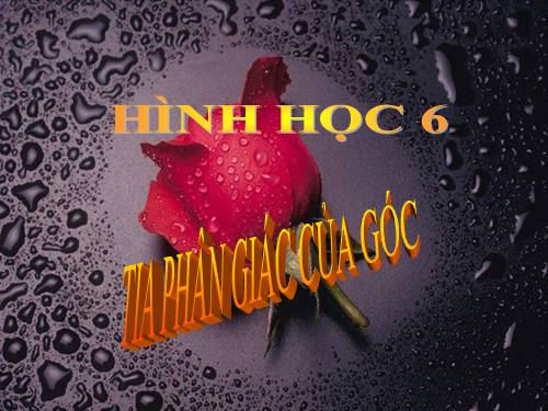 Chương II. §6. Tia phân giác của góc