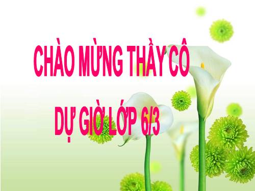 Chương I. §10. Trung điểm của đoạn thẳng