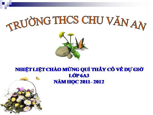 Chương I. §7. Độ dài đoạn thẳng