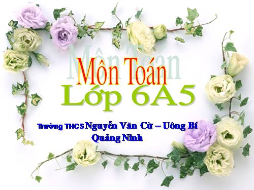 Chương I. §10. Trung điểm của đoạn thẳng