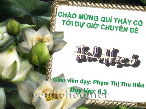 Chương I. §6. Đoạn thẳng