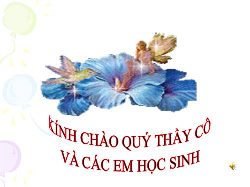 Chương I. §5. Tia