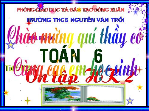 Các bài Luyện tập