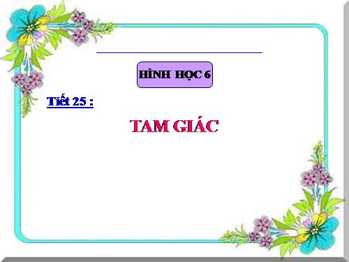 Chương II. §9. Tam giác