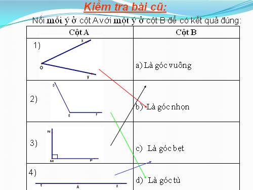 Các bài Luyện tập