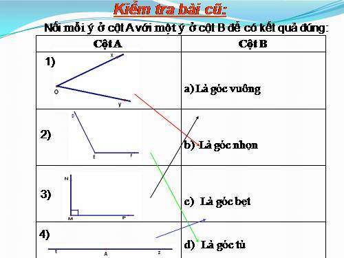 Các bài Luyện tập