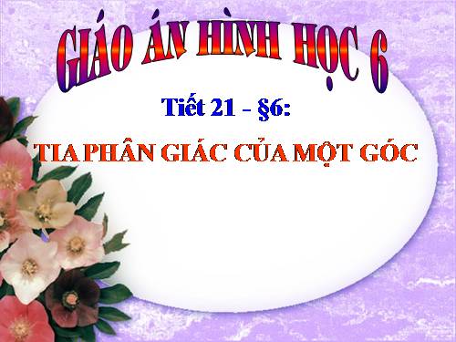 Chương II. §6. Tia phân giác của góc