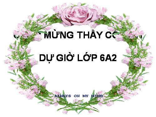 Chương II. §8. Đường tròn