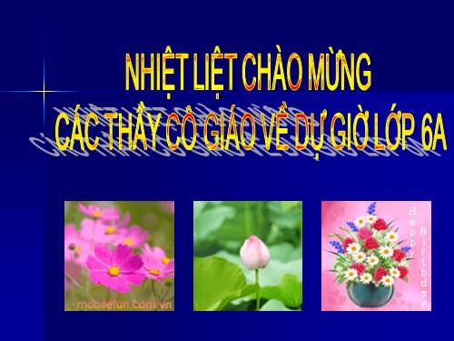 Chương I. §5. Tia