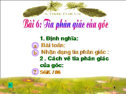 Chương II. §6. Tia phân giác của góc