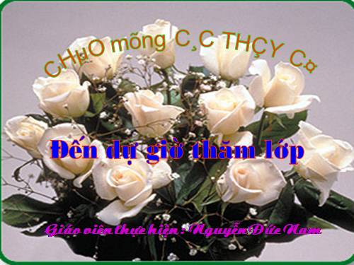 Các bài Luyện tập