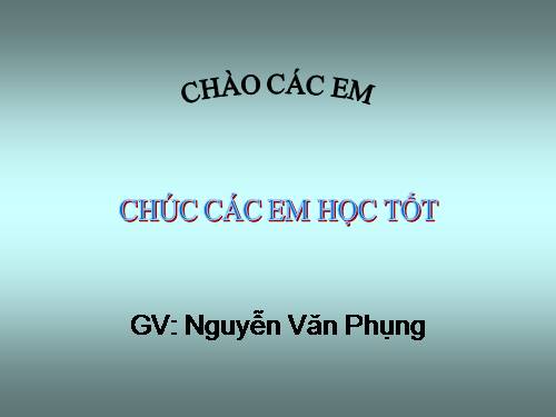 Chương I. §4. Thực hành: Trồng cây thẳng hàng