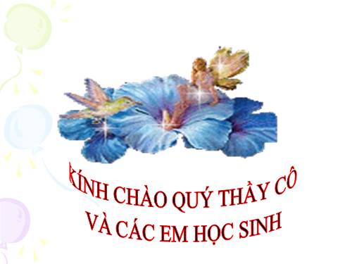 Chương I. §5. Tia