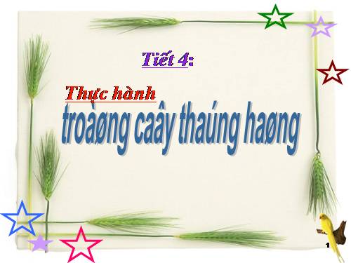 Chương I. §4. Thực hành: Trồng cây thẳng hàng