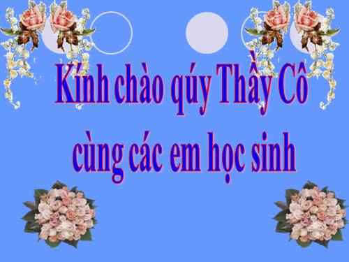 Chương II. §8. Đường tròn