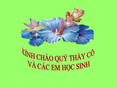 Các bài Luyện tập