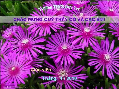 Chương II. §3. Số đo góc