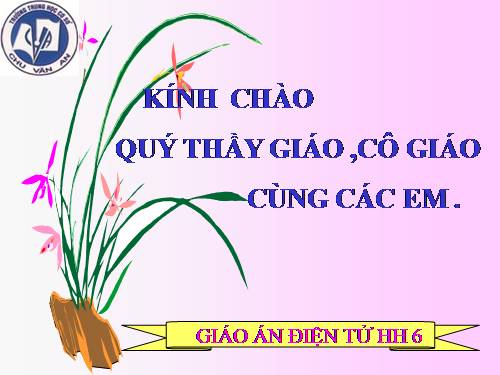 Chương I. §8. Khi nào thì AM + MB = AB?