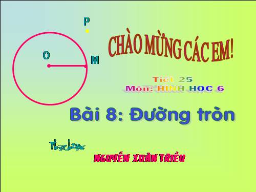 Chương II. §8. Đường tròn