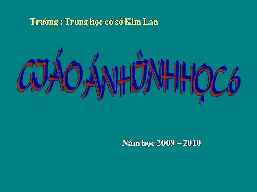 Chương II. §8. Đường tròn