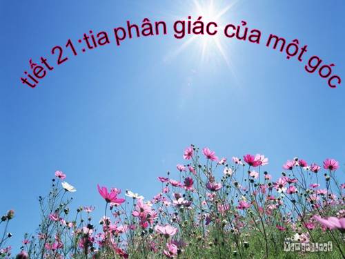 Chương II. §6. Tia phân giác của góc