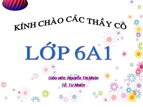 Chương II. §4. Khi nào thì xOy + yOz = xOz?