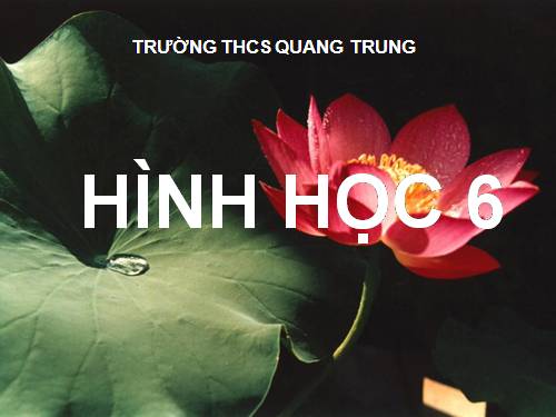 Chương II. §4. Khi nào thì xOy + yOz = xOz?