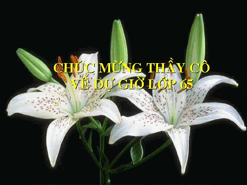 Các bài Luyện tập